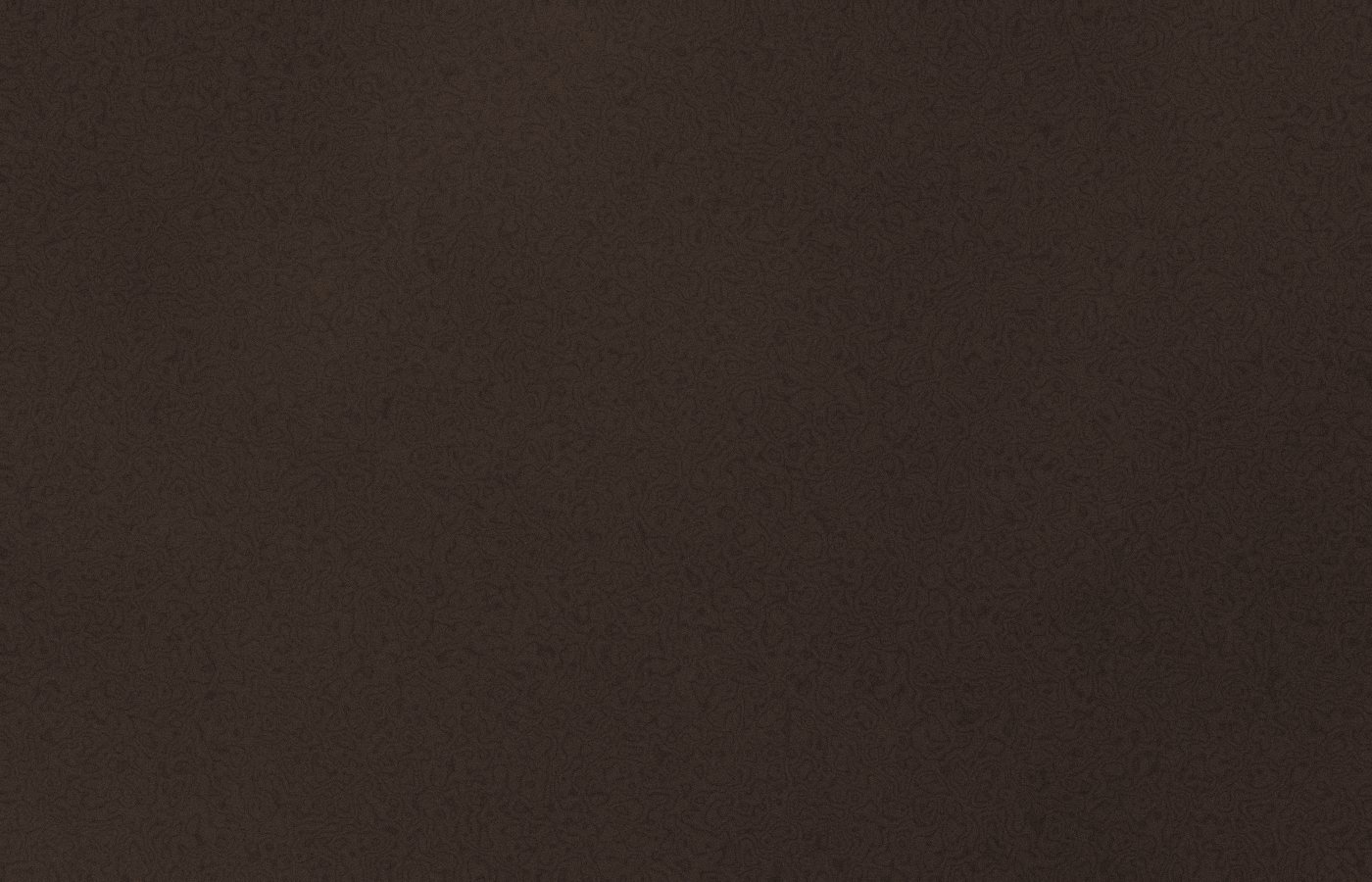 Dark leather with heavy grain