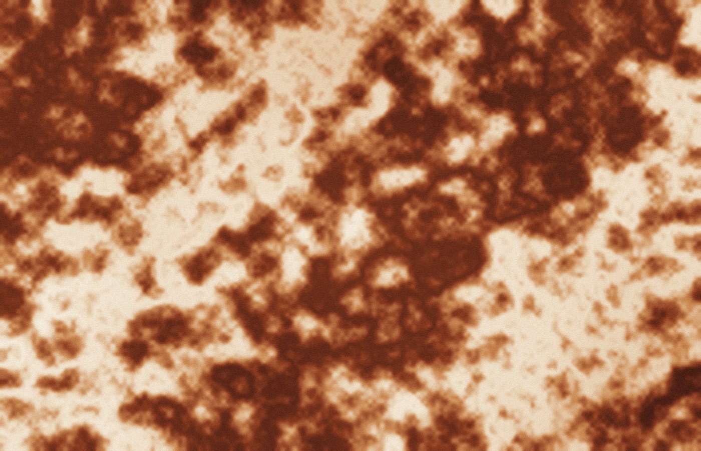 Marbled paper in rust and cream