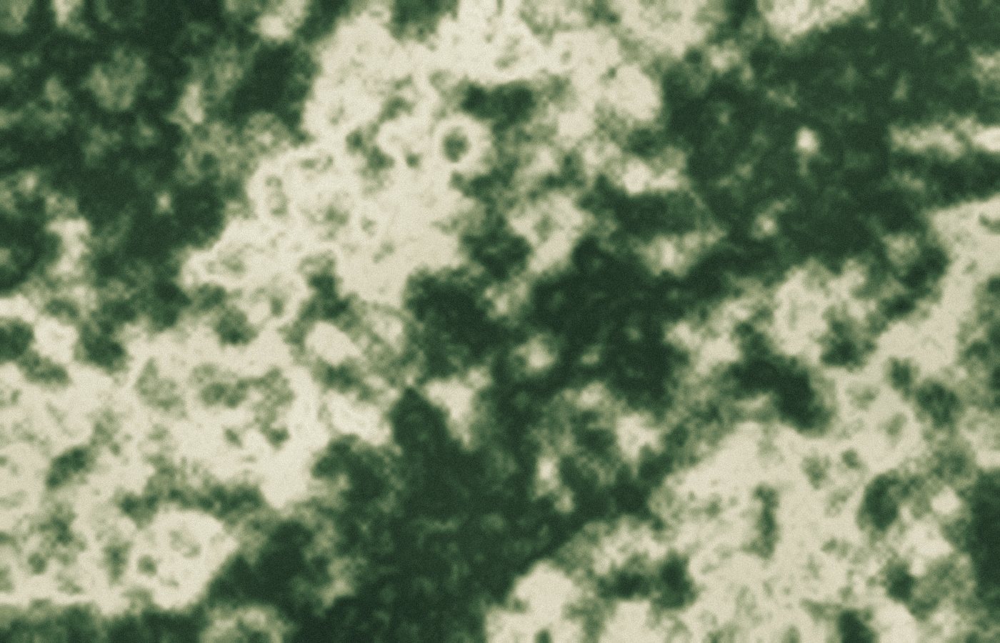 Marbling in moss green
