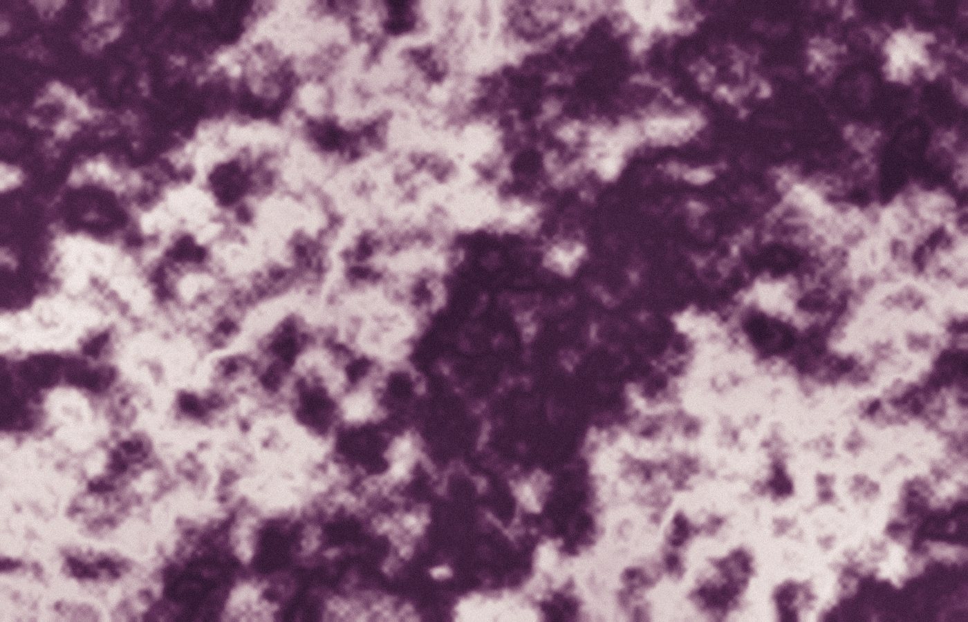 Marbling in plum